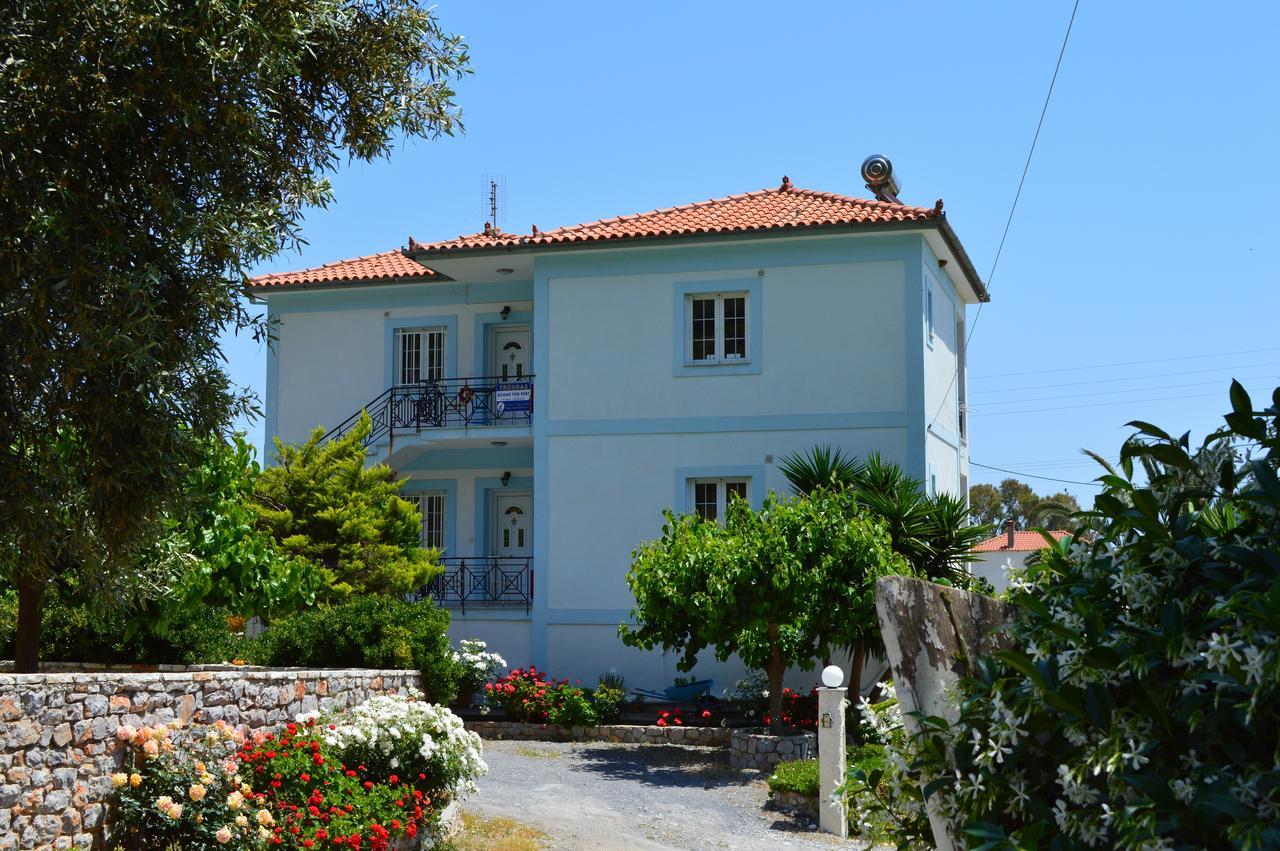 Amera Leonídion Buitenkant foto